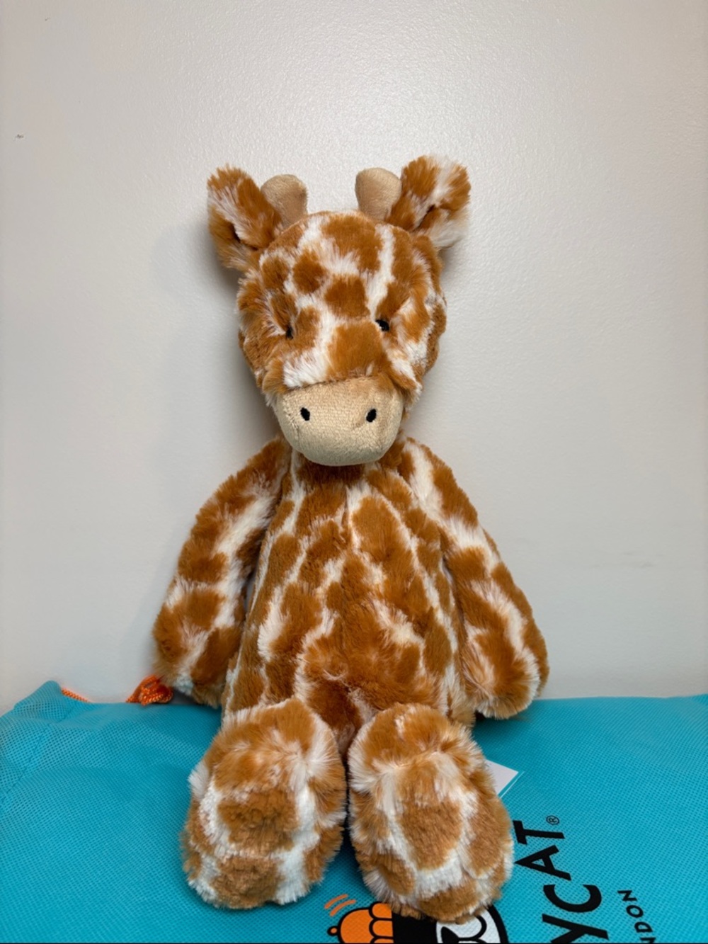 Jellycat BASHFUL GIRAFFE - Medium 12" - Authentic - BNWT- W./Dust Bag
